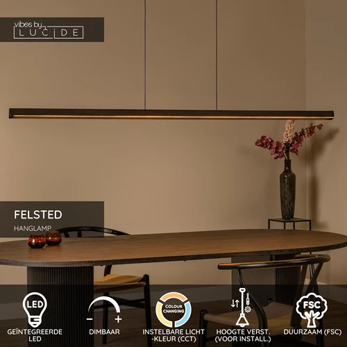 Lucide FELSTED - Hanglamp - LED Dimb. - CCT - 1x28W 2200K/4000K - Zwart | Vibes - USP